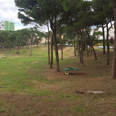 Politur Apartamento