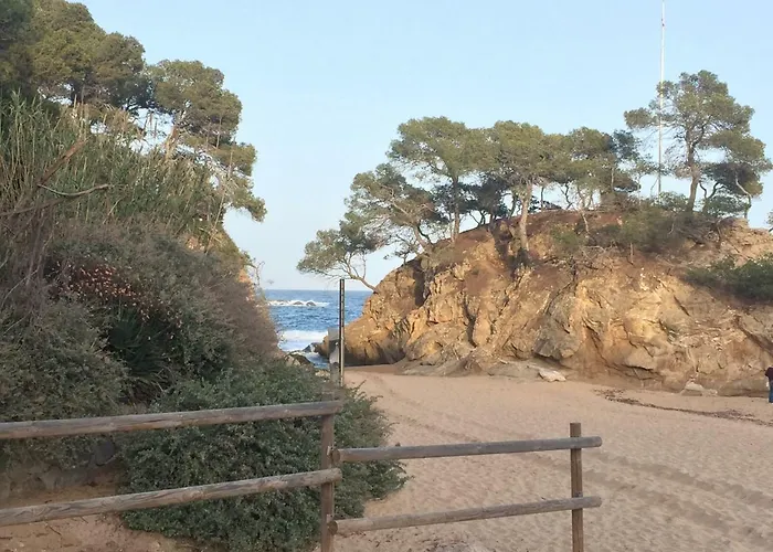 Politur Platja d'Aro